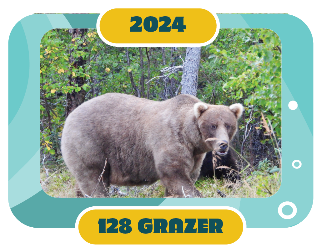 128 grazer 