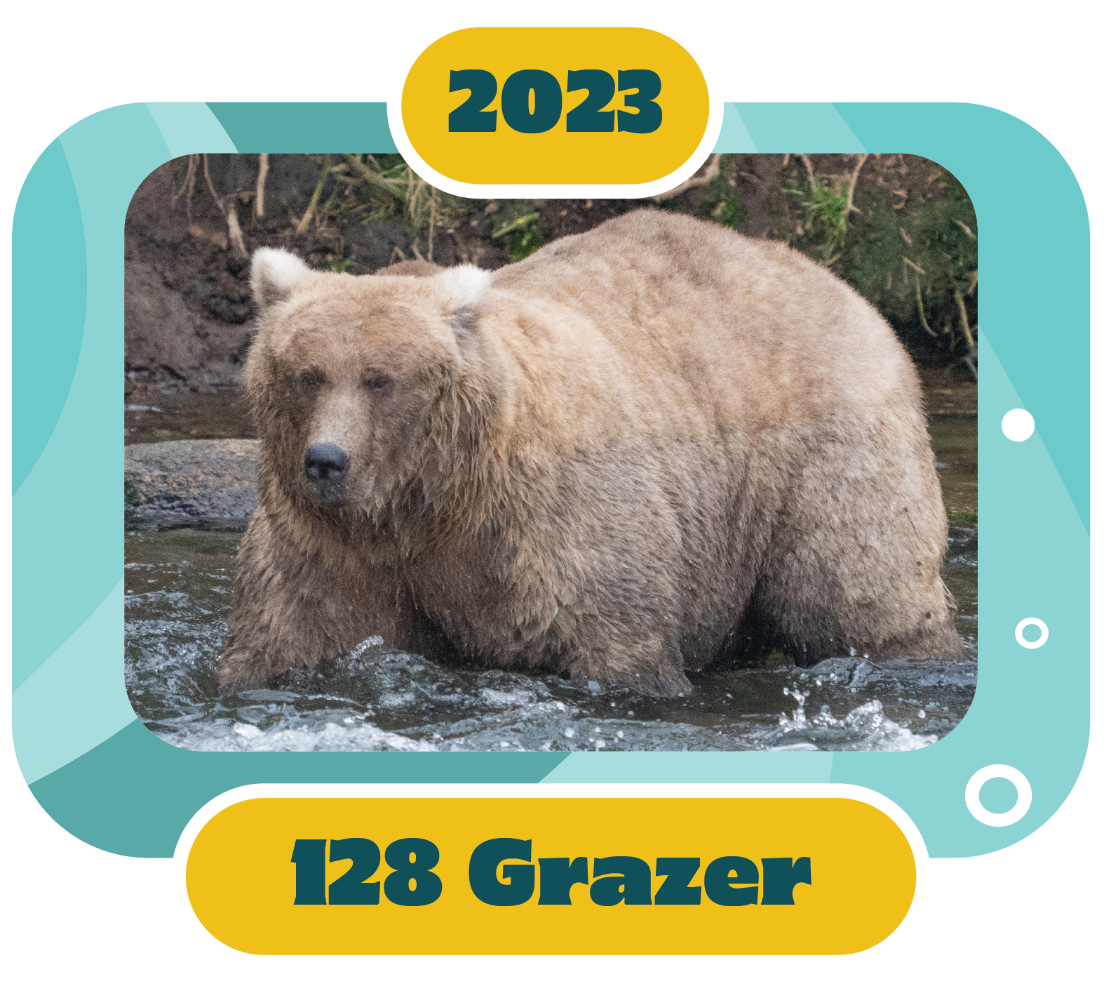 128 grazer 