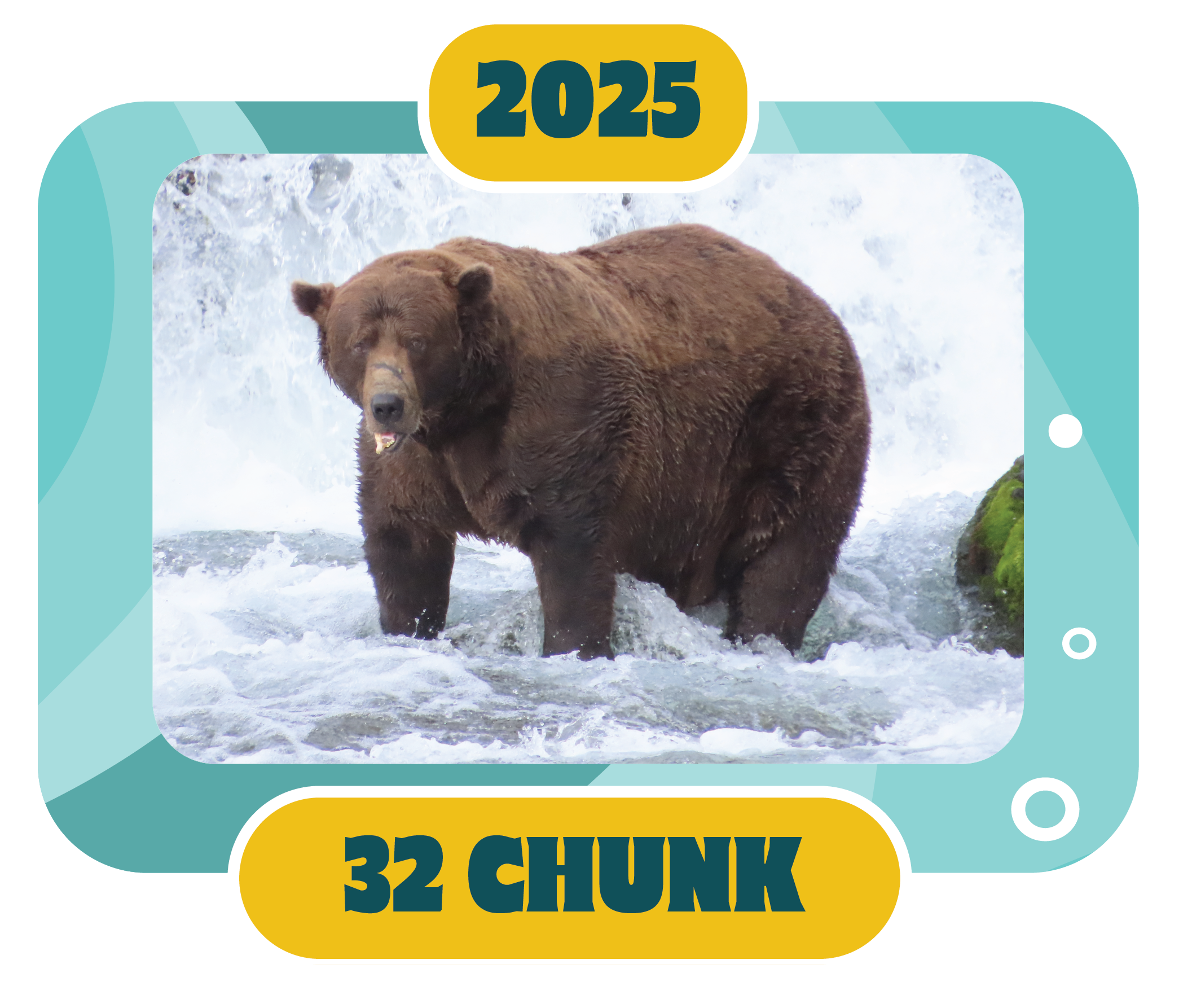 32 chunk