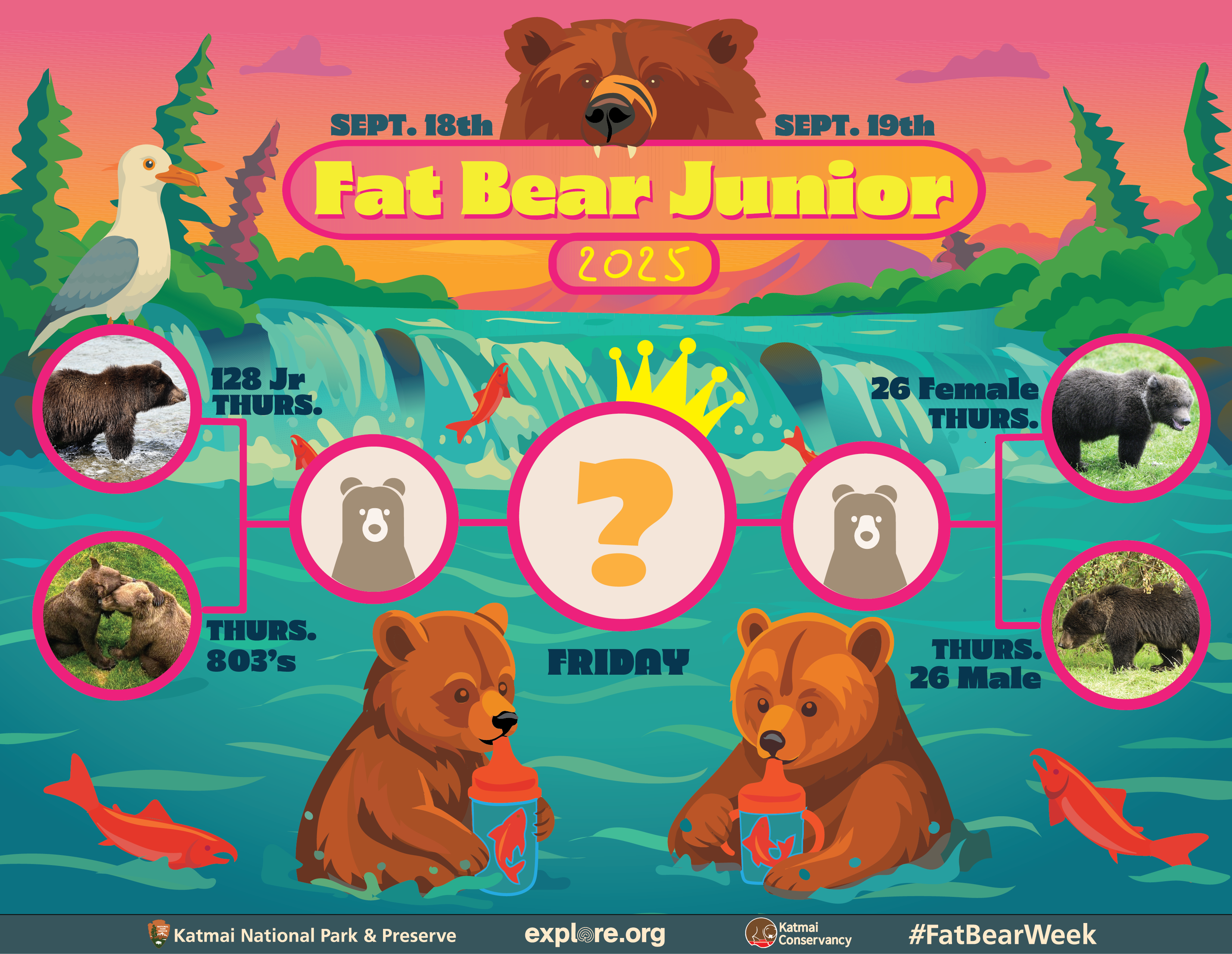 fat-bear-junior-bracket-2025-reveal-1758152981934.png