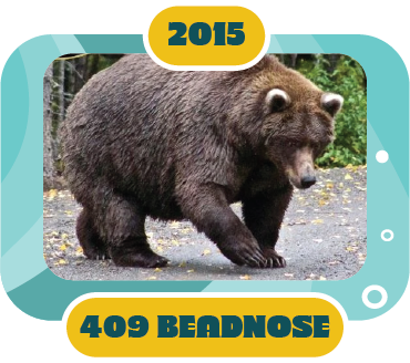 2015: 409 Beadnose