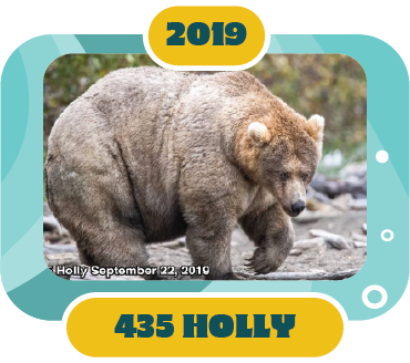 2019: 435 Holly