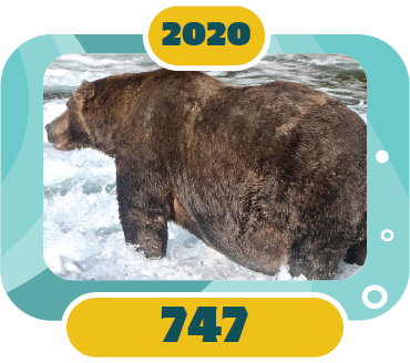 2020: 747